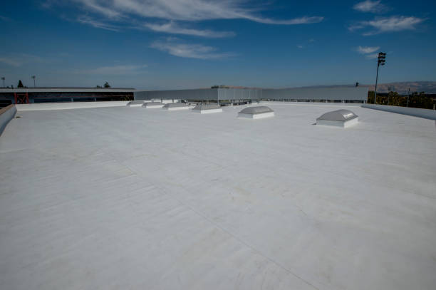 Best Gutter Installation and Repair  in Rosita, TX