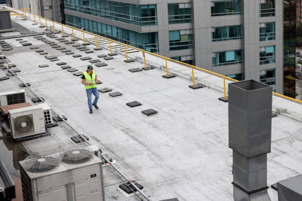 Best Storm Damage Roof Repair  in Rosita, TX