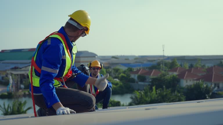  Rosita, TX Roofing Service Pros