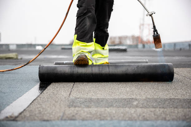 Best Cold Roofs  in Rosita, TX