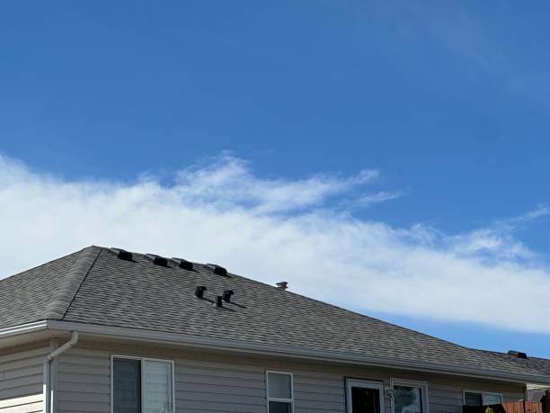 Skylights in Rosita, TX