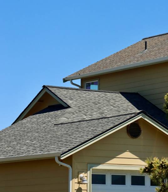 Best Steel Roofing  in Rosita, TX